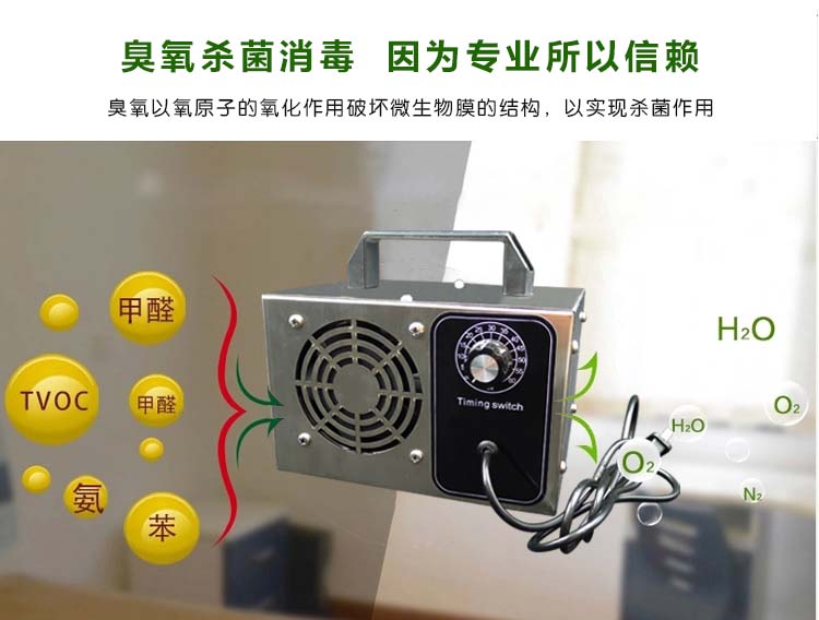 ozone purifier