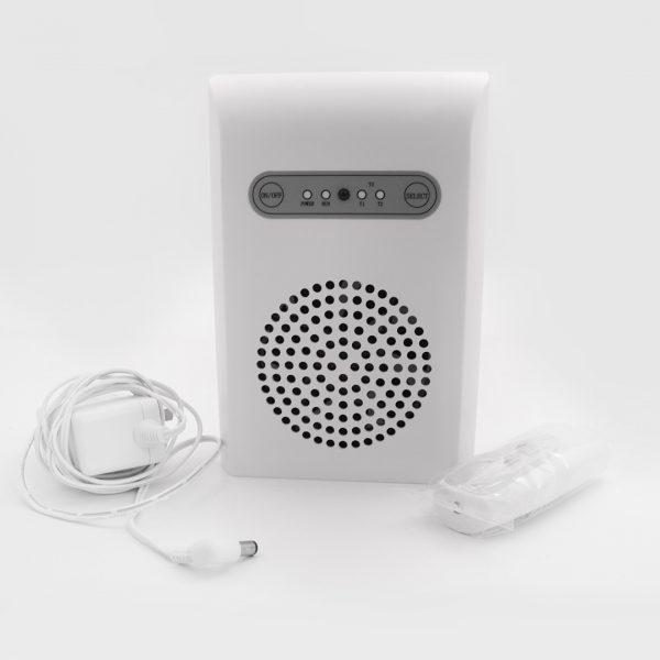 2000mg Ozoner generator