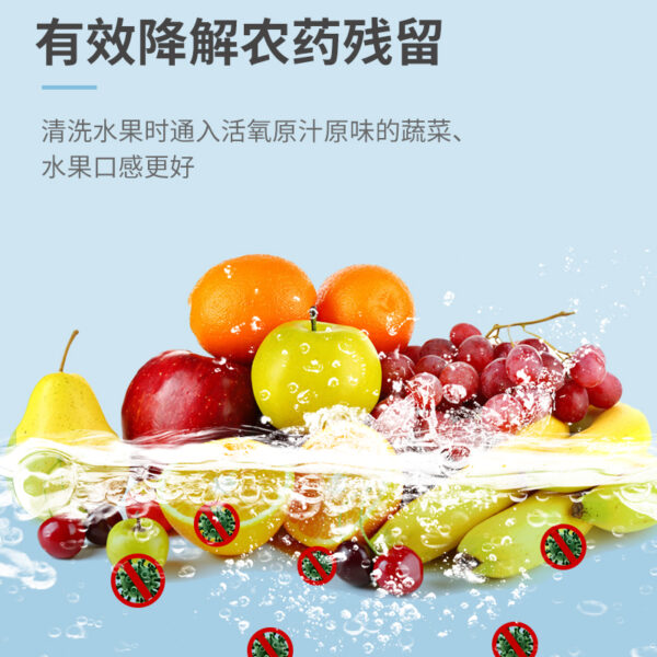 臭氧發(fā)生器果蔬消毒機(jī)自來水除氯凈化洗菜解毒機(jī)家用魚缸消毒活氧 - 圖片 4